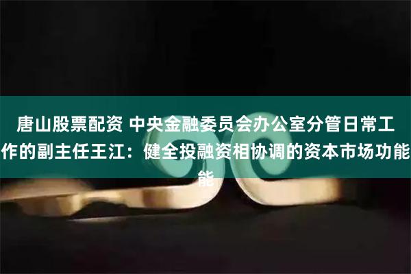 唐山股票配资 中央金融委员会办公室分管日常工作的副主任王江：健全投融资相协调的资本市场功能