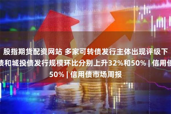 股指期货配资网站 多家可转债发行主体出现评级下调，信用债和城投债发行规模环比分别上升32%和50% | 信用债市场周报