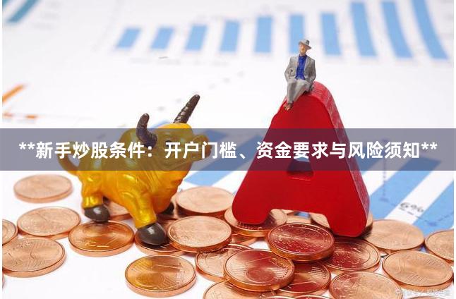**新手炒股条件：开户门槛、资金要求与风险须知**