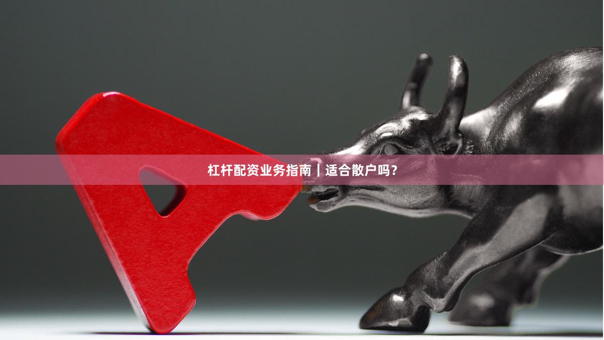 杠杆配资业务指南｜适合散户吗？