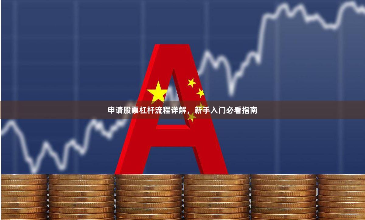 申请股票杠杆流程详解，新手入门必看指南