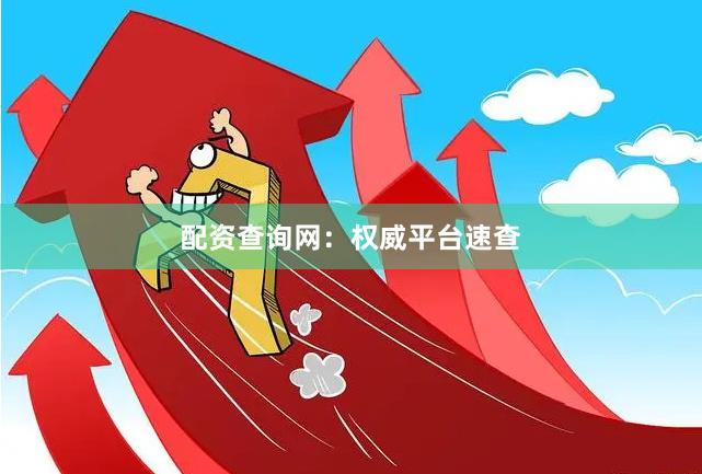 配资查询网：权威平台速查